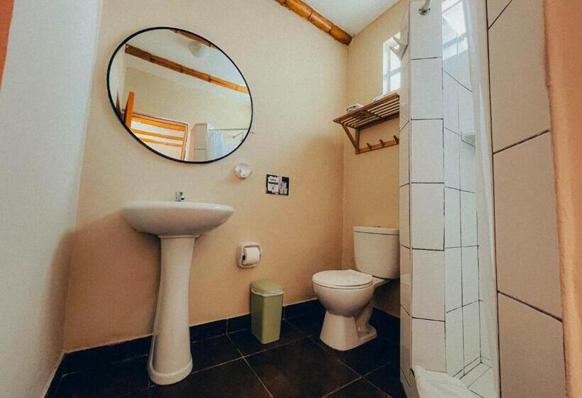 Viajero Paracas Hostel