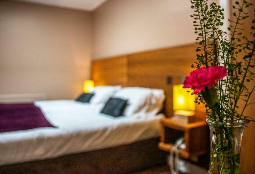 旅馆 Bay Guest Lodge