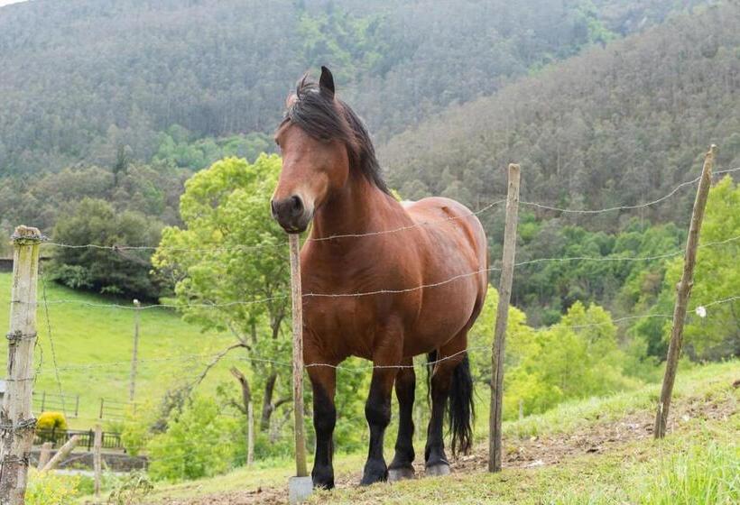 Apartamentos Rurales Casa Llongo