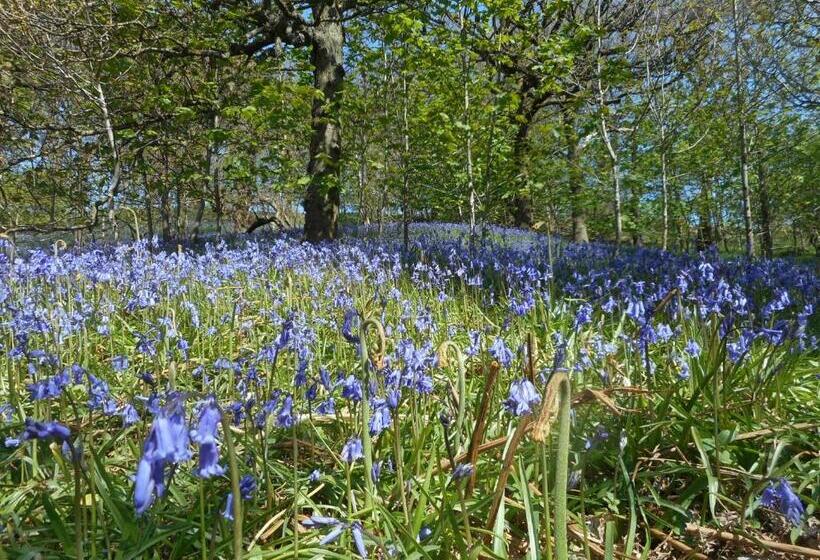 Auchenlea Bed And Breakfast