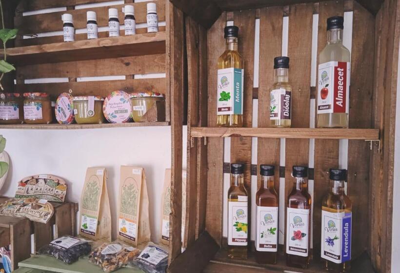 민박 Diókert Vendégház Sopron