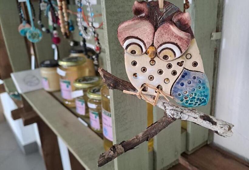 민박 Diókert Vendégház Sopron