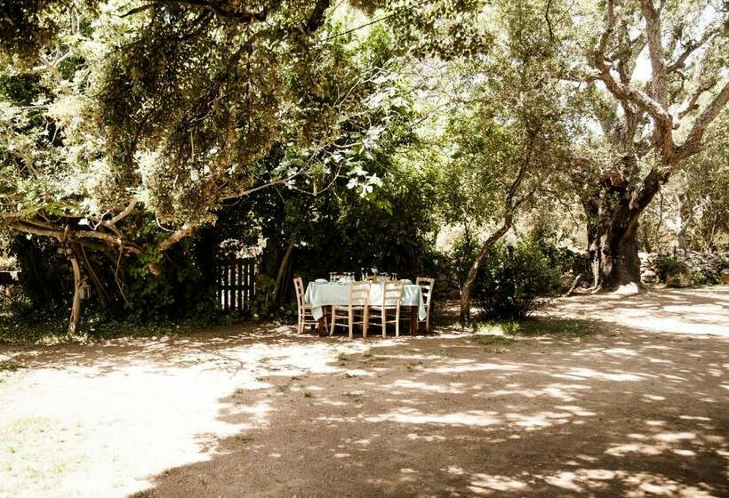 酒店 Agriturismo Casteddu