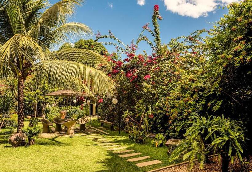 ホテル Balsas Premier