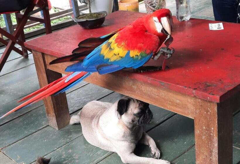 هتل Cabañas Alto Del Aguila