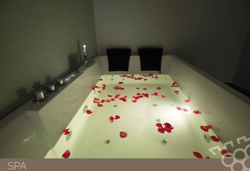 Douro Castelo Signature Hotel & Spa