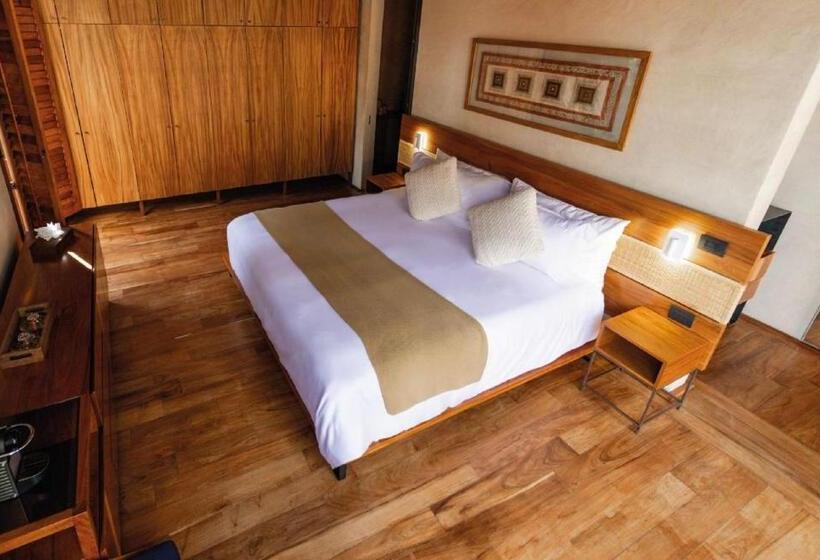 酒店 El Recinto Luxury