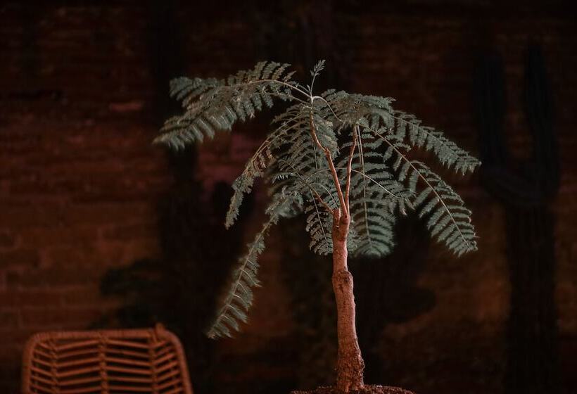 酒店 El Recinto Luxury