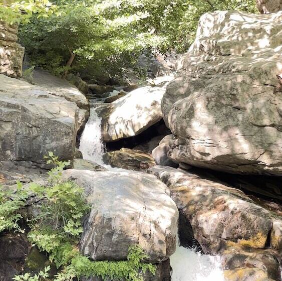 酒店 Kazdağları Allia Thermal Health & Spa