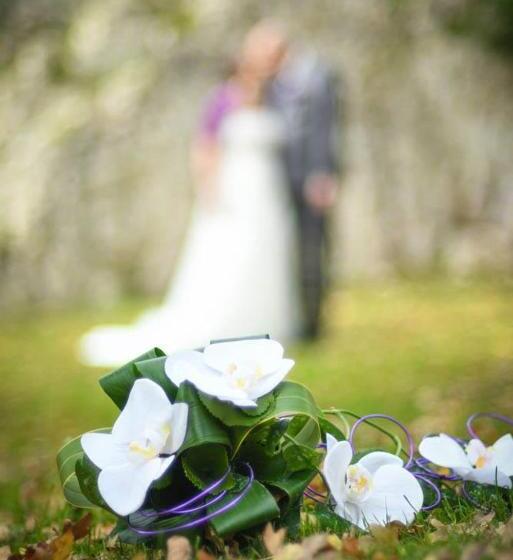 Отель La Garenne De Morestel