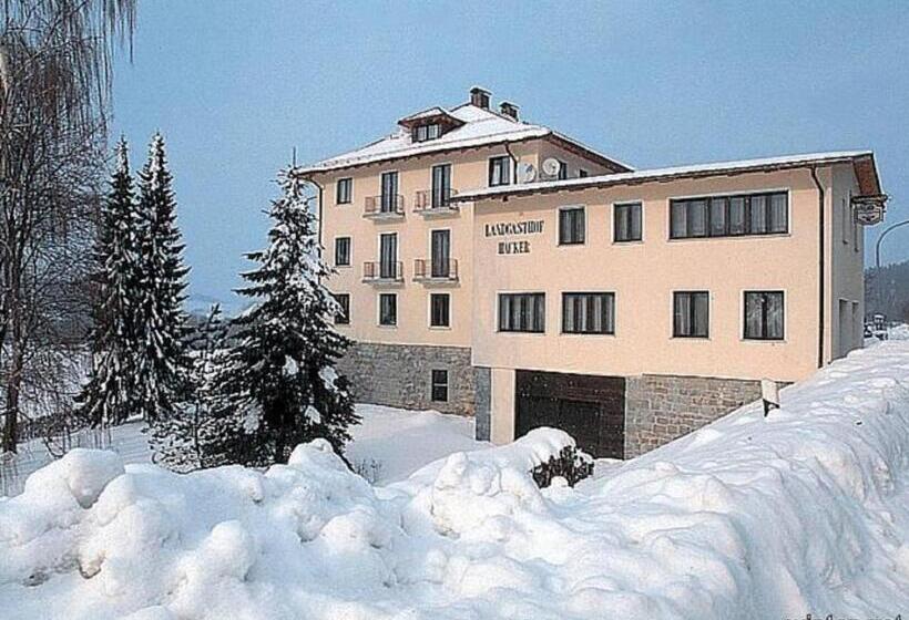 Отель Landgasthof Hacker