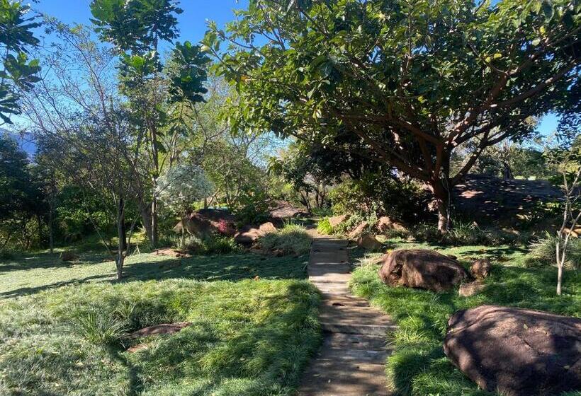 Отель Mogi Boutique