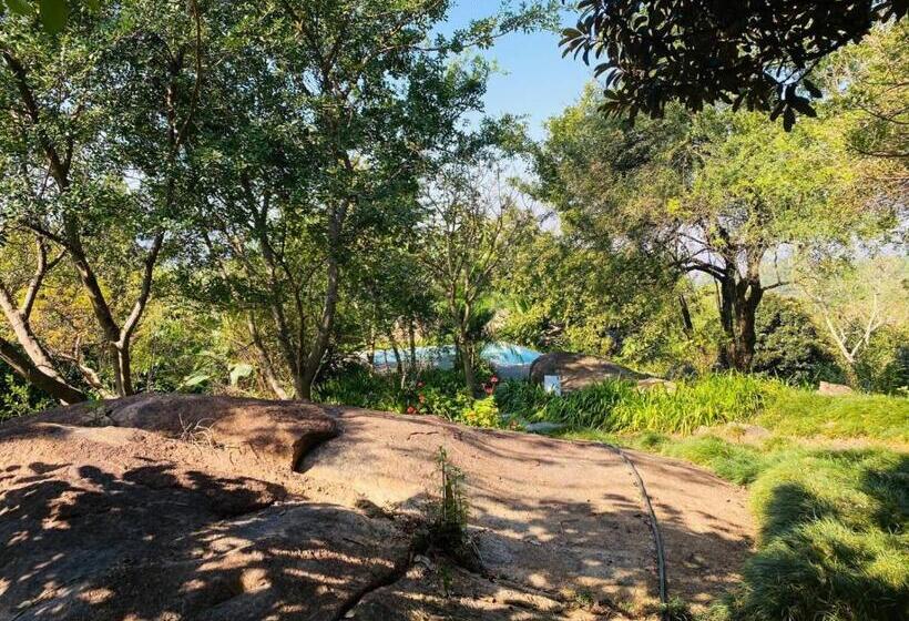 Отель Mogi Boutique