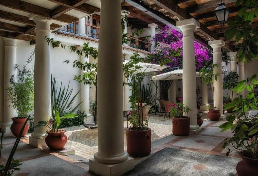 בית מלון כפרי Provincia