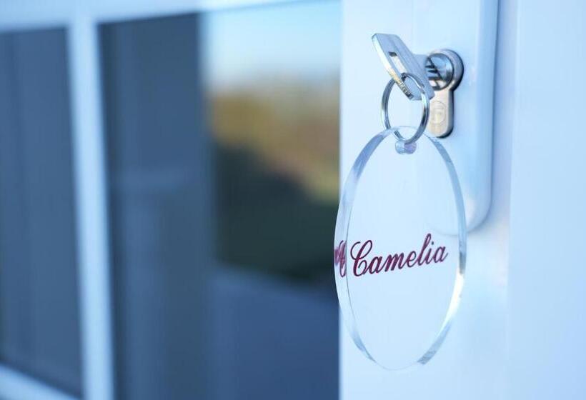 Отель Villa San Pietro