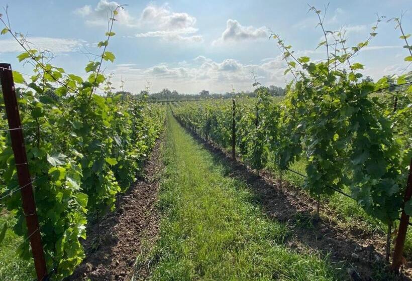 Отель Villa San Pietro