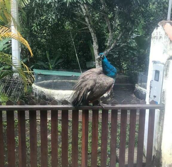 فندق Waterfall El Paraíso   Cabañas, Jacuzzi, Piscina Y Cascada En Medio De La Naturaleza