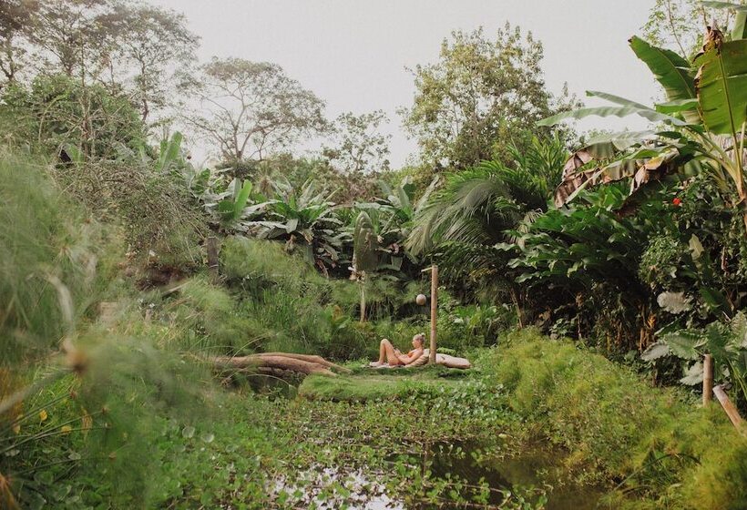 هتل Yay Sustainable