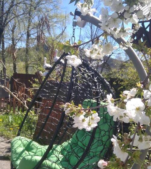 پانسیون садиба у сколе карпатський чан