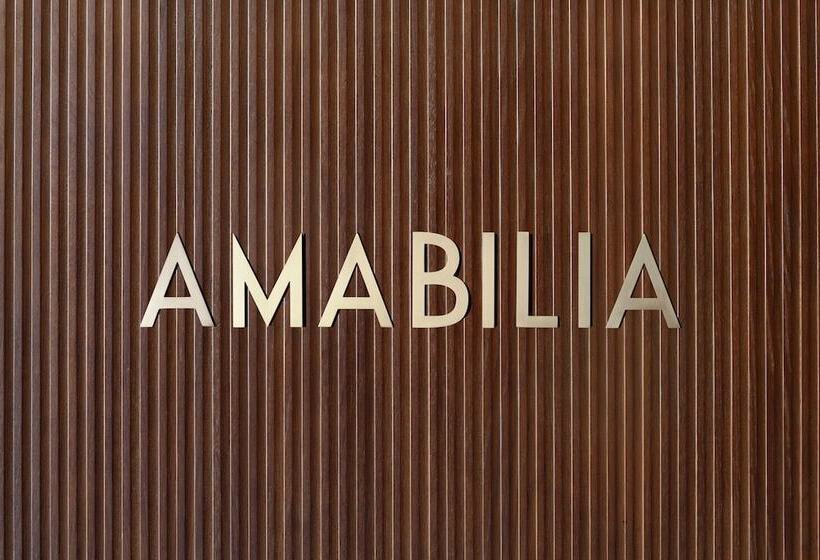 膳宿费 Amabilia Suites
