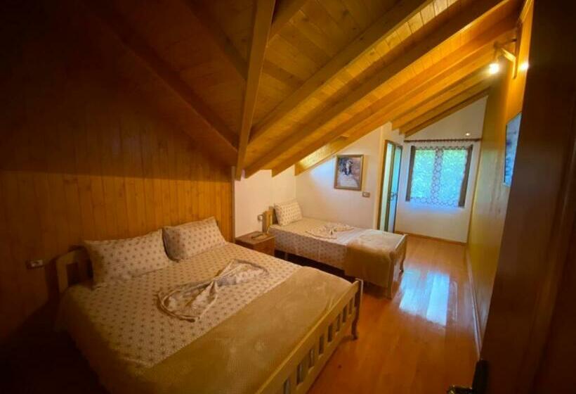 بنسيون Bixhaku Guesthouse