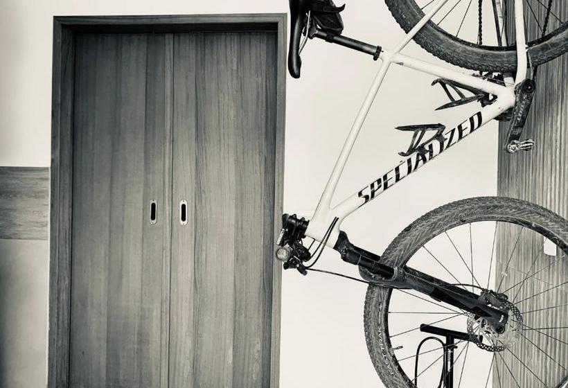 Пансион House Bike Sonora