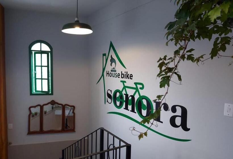 Пансион House Bike Sonora