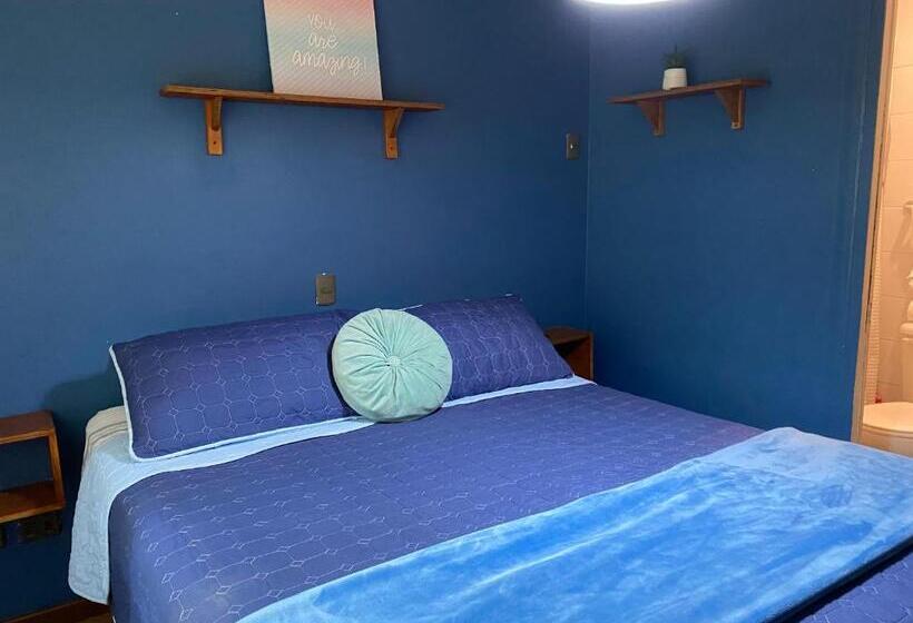 ペンション Maktvb Costanera   Hostal Boutique