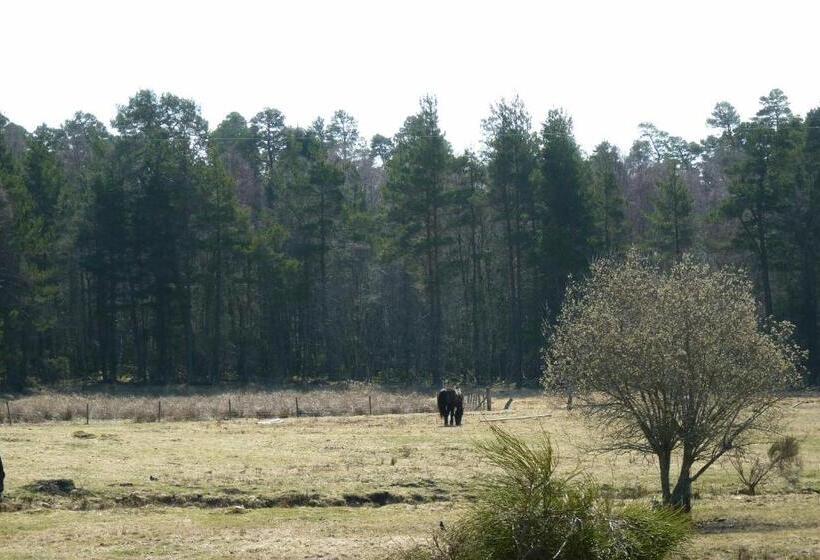 膳宿费 Tanleys B&b