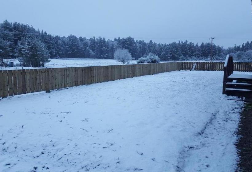 膳宿费 Tanleys B&b