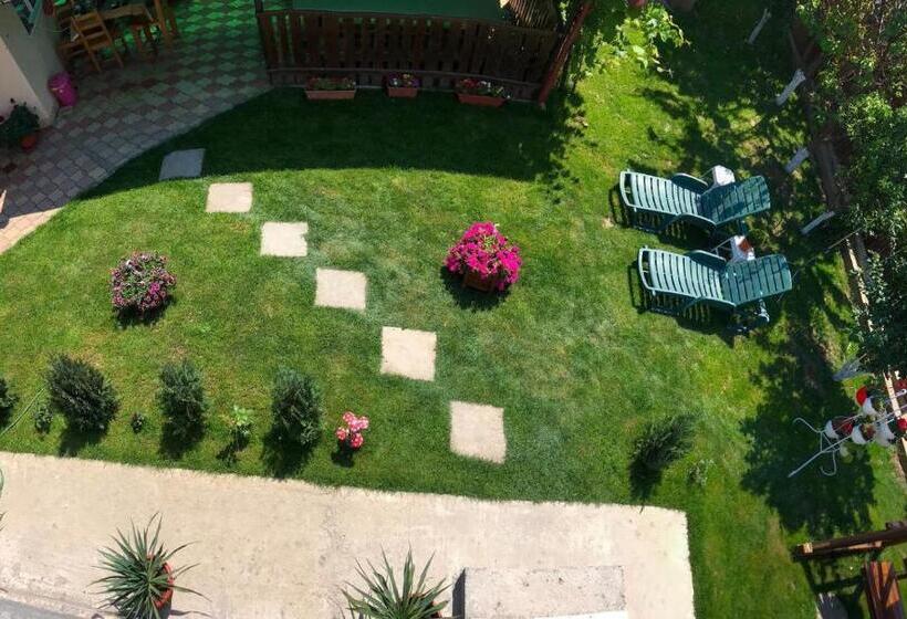 ペンション Vila Cochilia Costinesti Ultracentral 3 Stele