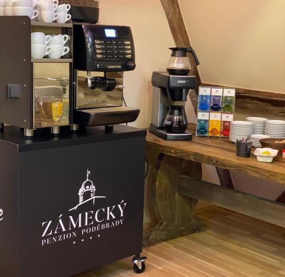 펜션 Zámecký Penzion