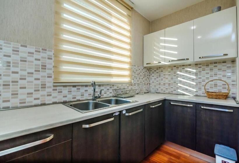 Megafun Residance B1