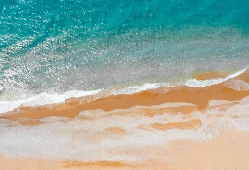 Alarcha Hotels & Resort - Ultra All Inc