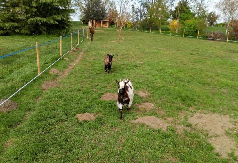 צימר La Pastorale