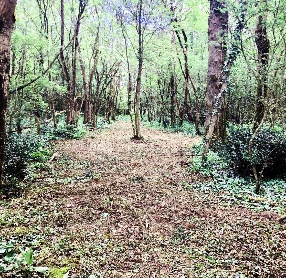 Hotel Hôtel Particulier Château Des Marais Proximité Et Vue Sur Le Lac De Grand Lieu