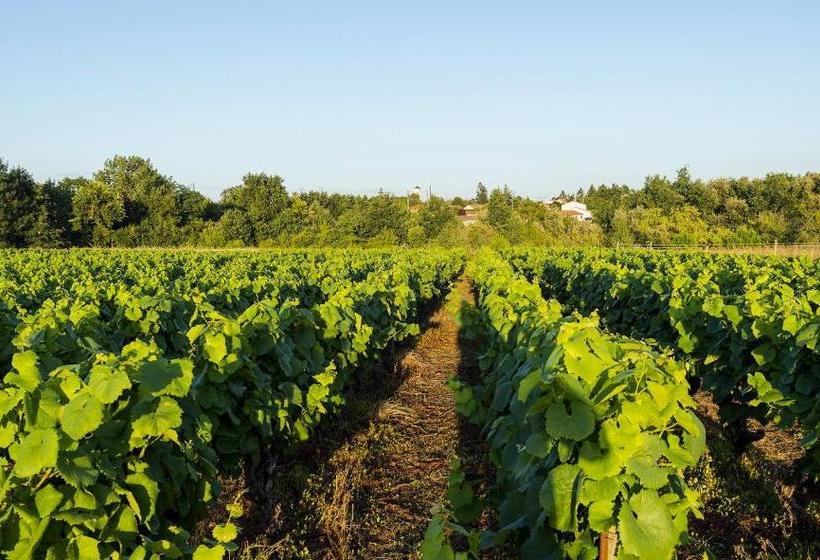 Hotel Hôtel Particulier Château Des Marais Proximité Et Vue Sur Le Lac De Grand Lieu
