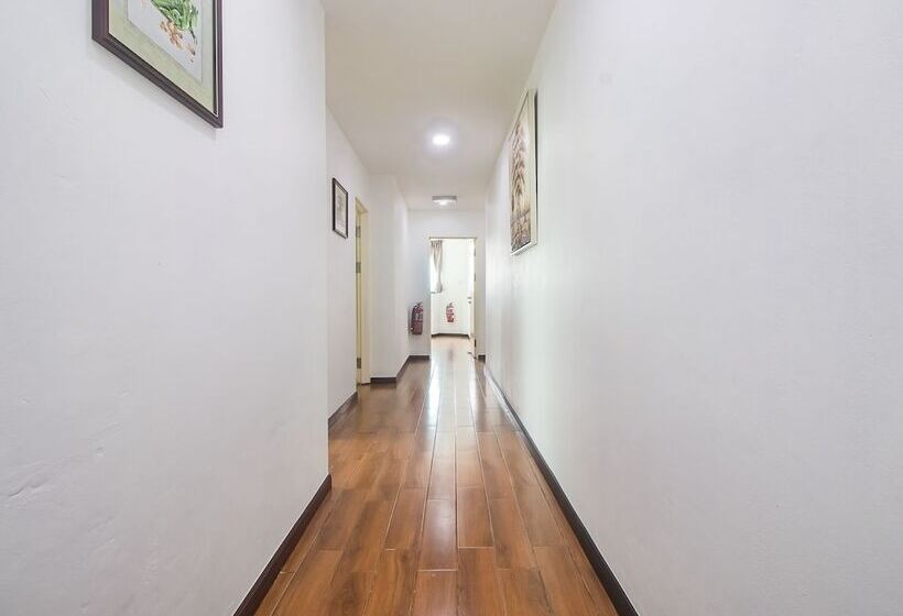 Hotel Oyo 90102 7 Days Lodge