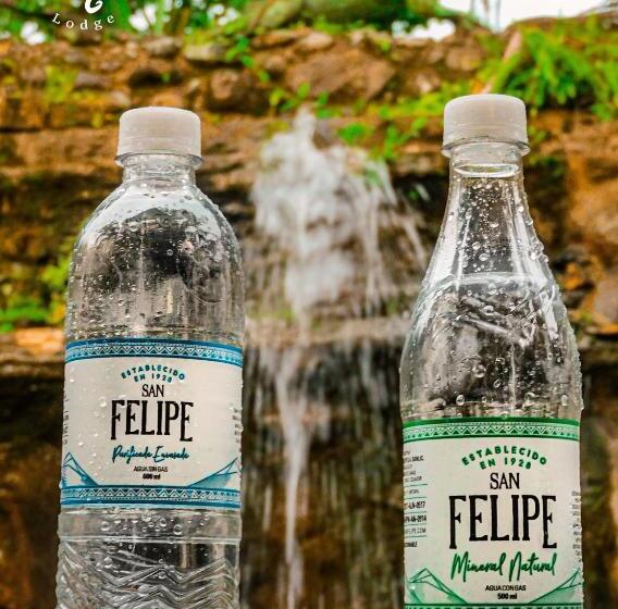 فندق Puerto Quito Lodge