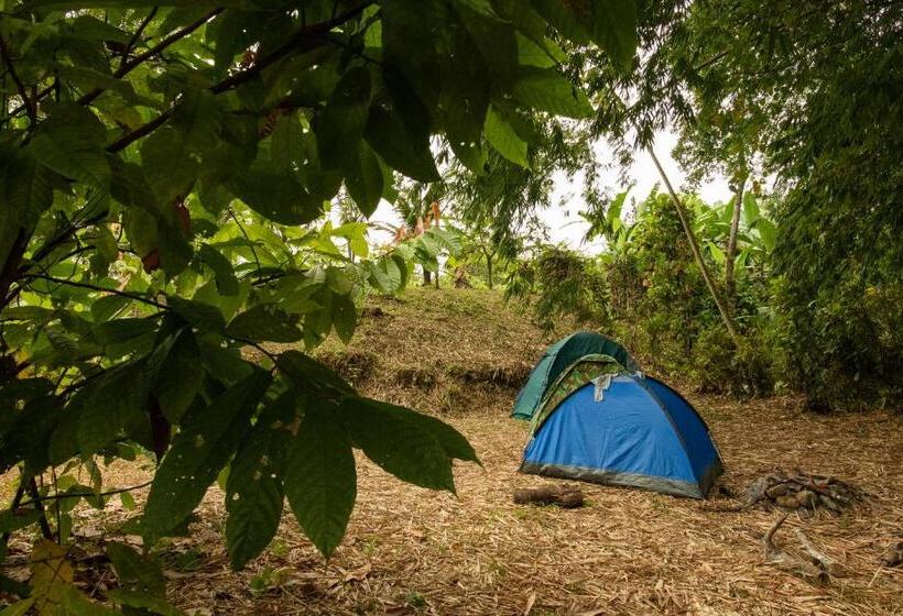 فندق Puerto Quito Lodge