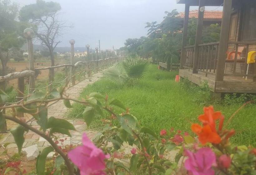 膳宿费 Karpaz Farm Guest House