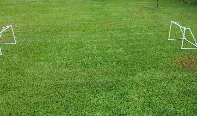 膳宿费 La Hogareña