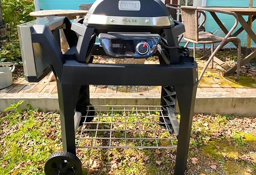 بنسيون Moon Glow