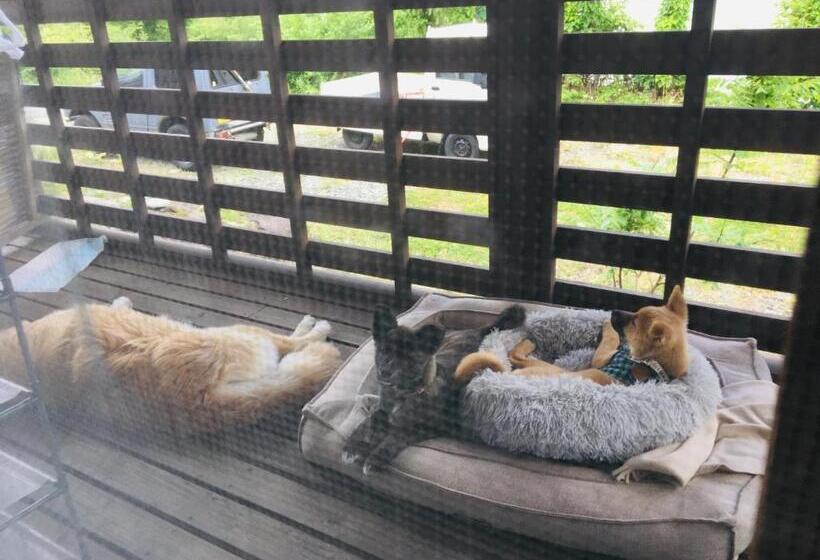 פנסיון Radish House