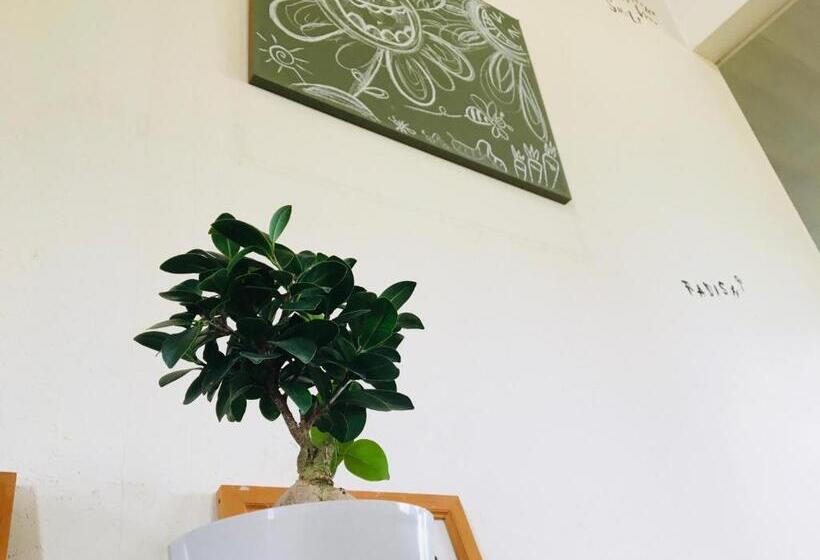 פנסיון Radish House