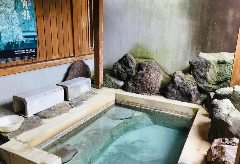 פנסיון Radish House