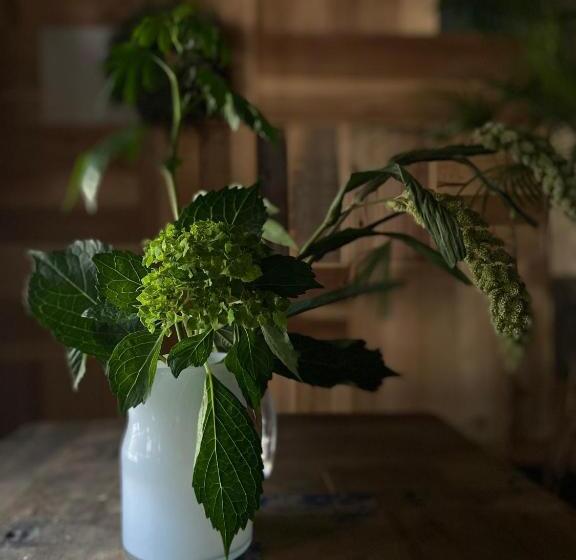 پانسیون 六根ゲストハウス Rokkon Guest House