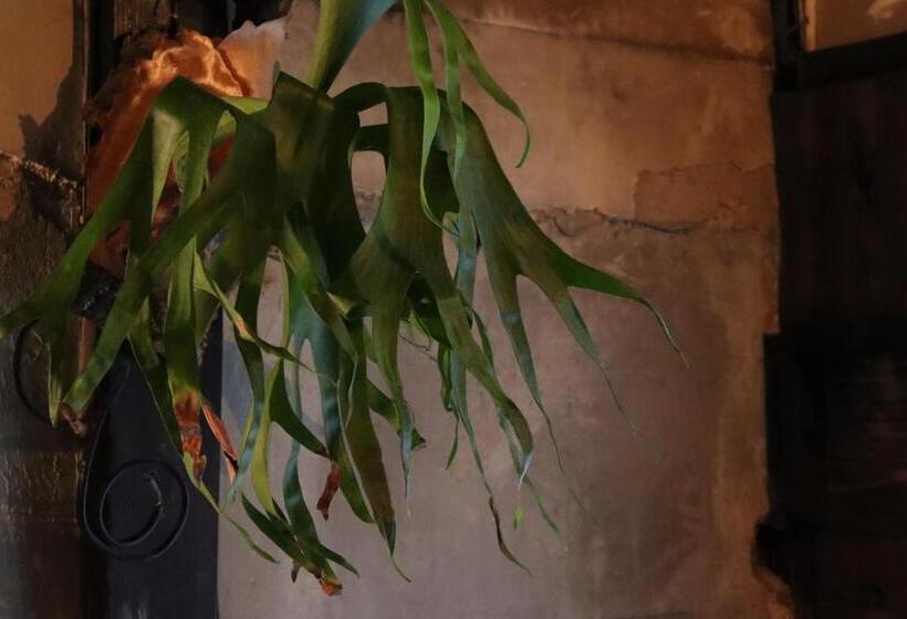 پانسیون 六根ゲストハウス Rokkon Guest House