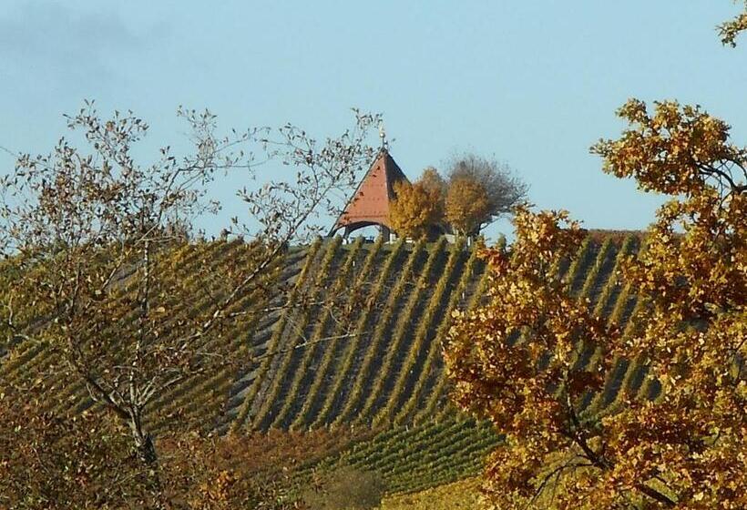 Pension Zur Traube 3 Sterne