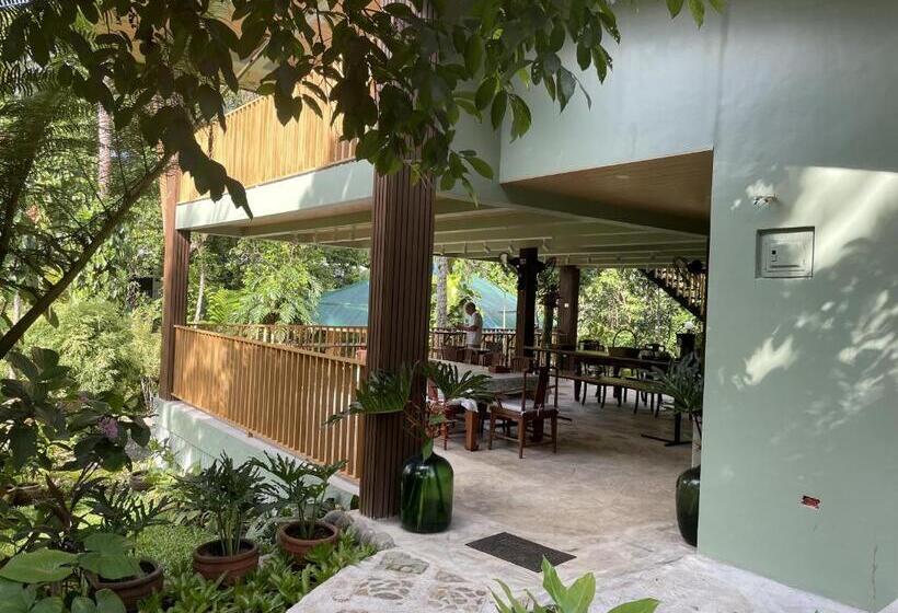 住宿加早餐  Mayas Nest